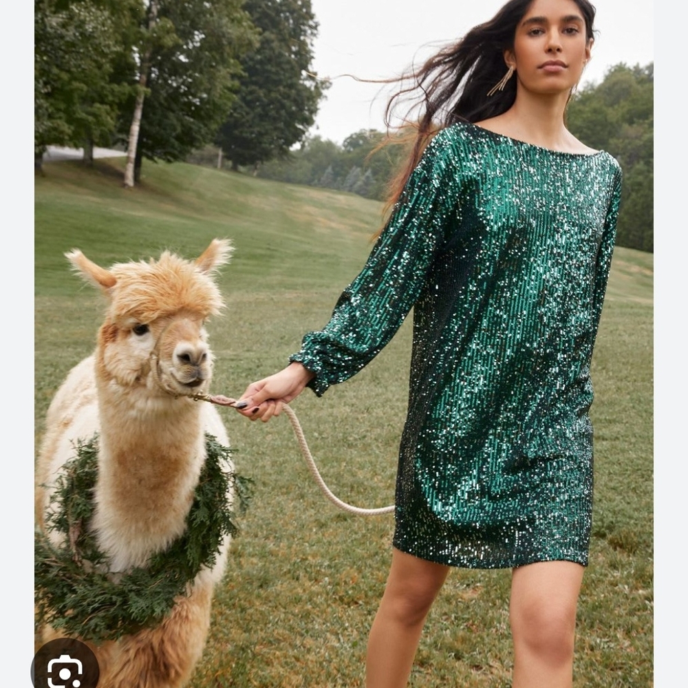 Dark Green Sequin Dress